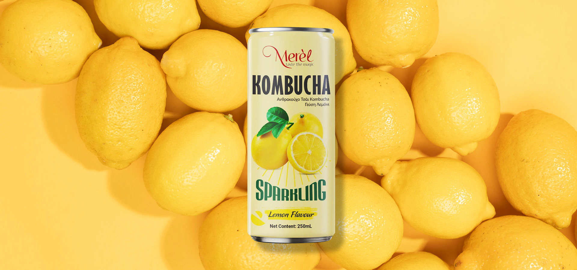 link-Kombucha